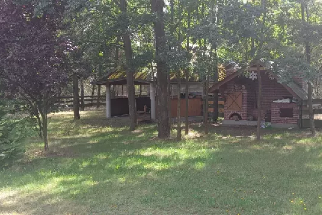 Drewniany domek na zielonym terenie wśród drzew